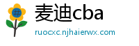 麦迪cba